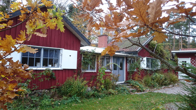 autumn cottage